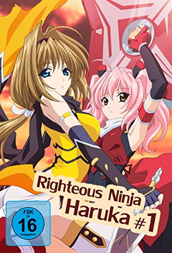Righteous Ninja - Haruka 1 - FSK 16 | Dein Otaku Shop für Anime, Dakimakura, Ecchi und mehr