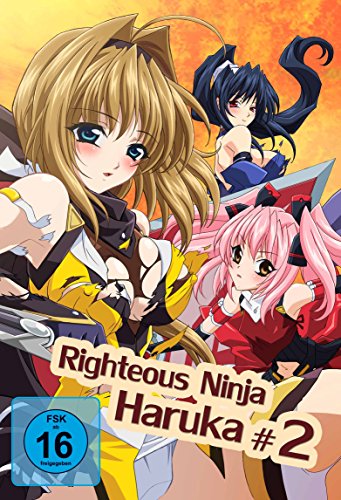 Righteous Ninja - Haruka 2 - FSK 16 | Dein Otaku Shop für Anime, Dakimakura, Ecchi und mehr