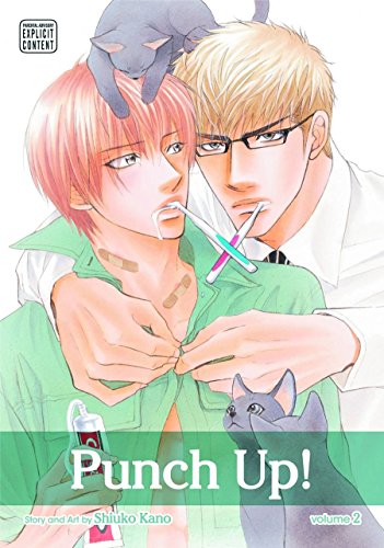 PUNCH UP GN VOL 02 (A) (C: 111)