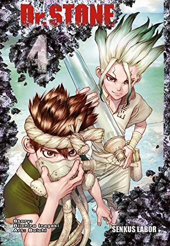 Dr. Stone 4 (4)