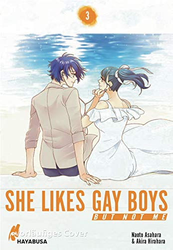 She likes gay boys but not me 3: Sensibler Slice of