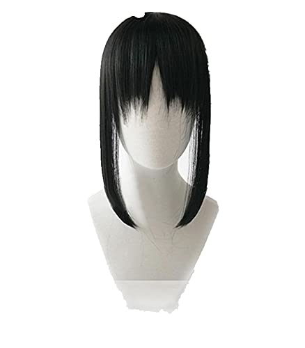Anime Kaguya-Sama-Liebe ist Krieg Shinomiya Kaguya 40cm Kurze Schwarze Perücke Wig Hitzebeständige
