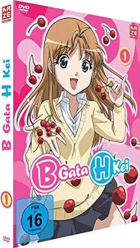 Gata Kei Vol. 1 | Dein Otaku Shop für Anime, Dakimakura, Ecchi und mehr