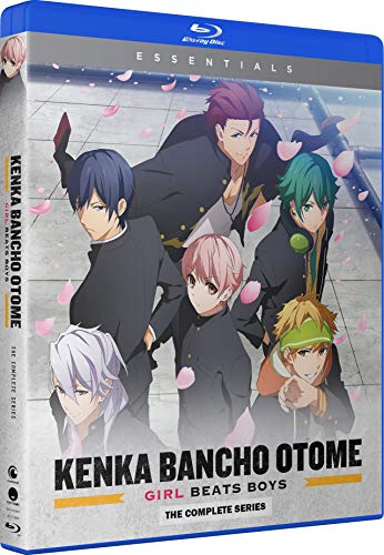 Kenka Bancho Otome Girl Beats Boys: Comp Series [Edizione: